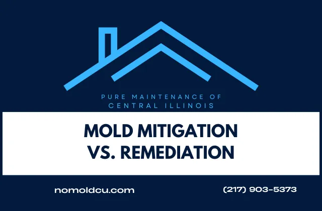 Mold Mitigation vs. Remediation