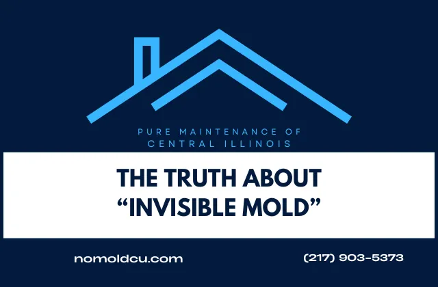 The Truth About “Invisible Mold”