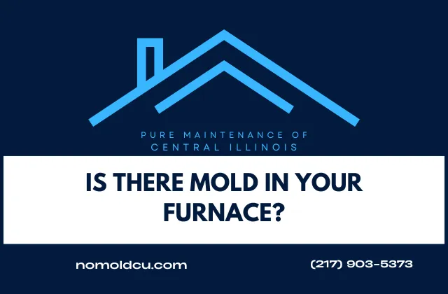 Is There Mold in Your Furnace?