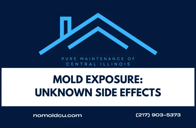Mold Exposure: Unknown Side Effects
