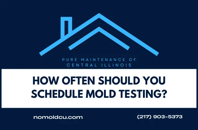 How Often Should You Test Your Home for Mold?