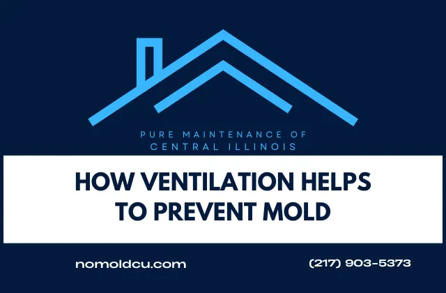 The Role of Ventilation in Preventing Mold