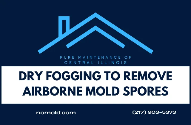 Can VaPURE Treatment Remove Mold Spores in the Air?