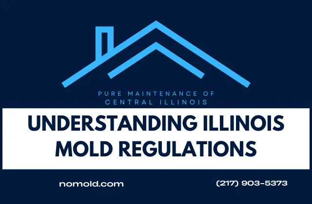 Understanding Mold Regulations in Illinois