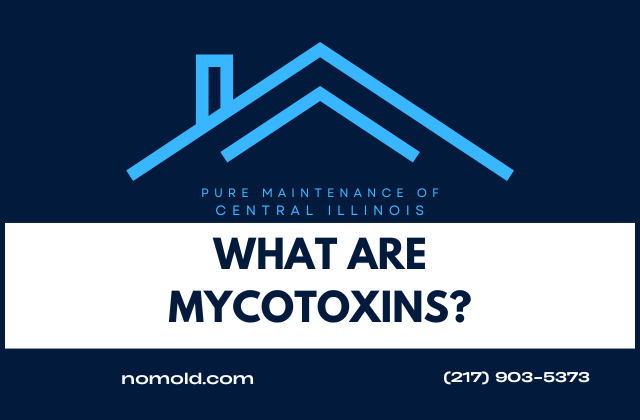 What are Mycotoxins?