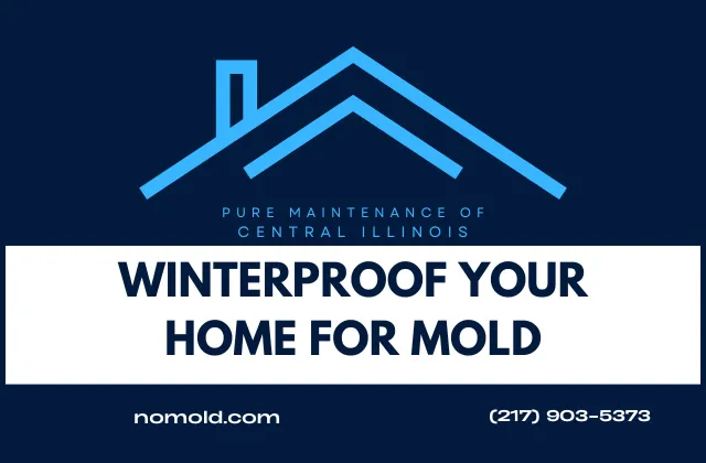 How to Winterproof Your Home to Prevent Mold Growth