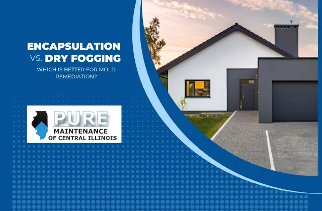 VaPURE Treatment Mold Remediation vs. Encapsulation