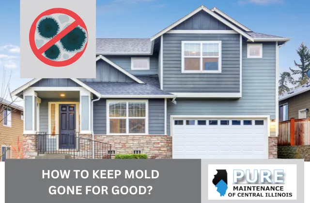 Mold Remediation Complete: Now What?