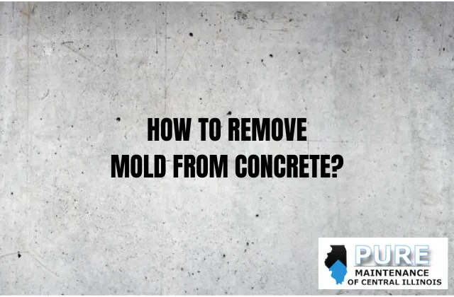 How to Remove Mold from Concrete Walls