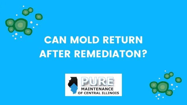 Can Mold Return Following Remediation?