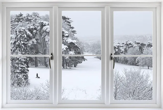Does Mold Grow in the Winter?